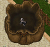 Steed1.PNG