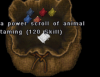 120 taming.png