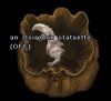 Osiredon Statt.jpg